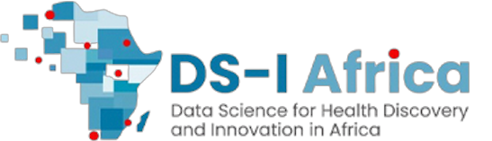 DS-I Africa Logo